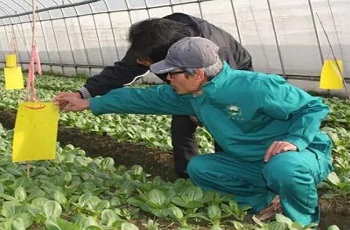 有機種植三要素:改良